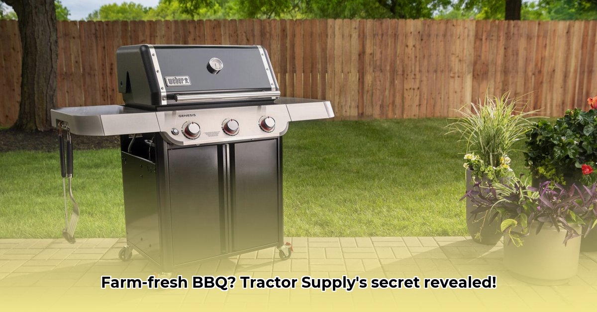 tractor-supply-bbq-pits